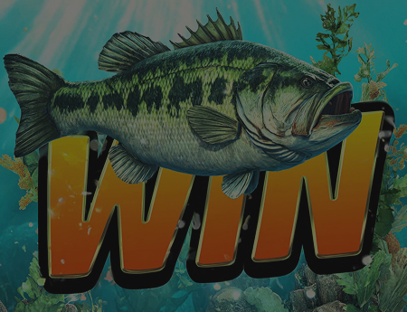 Big Bass Bonanza